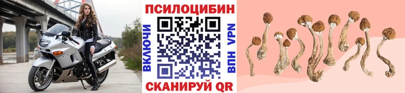 KRAKEN рабочий сайт  Кумертау  Галлюциногенные грибы ЛСД 